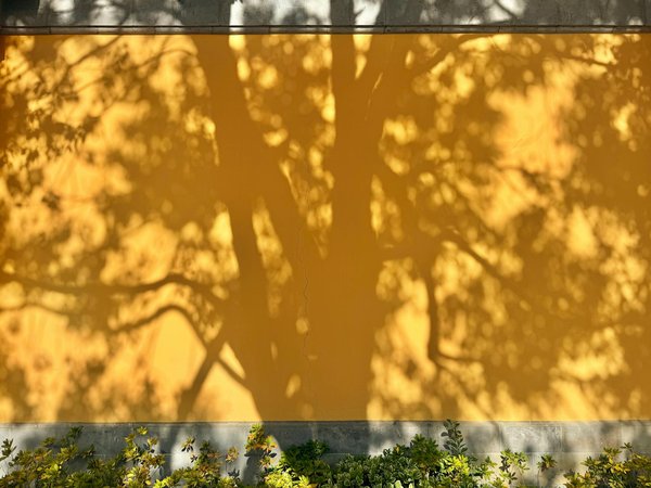 Quels accessoires sont essentiels pour la photographie artistique ?